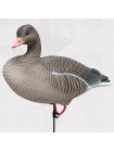 Чучела серого гуся Duck Mania "ALFA", комплект 6 штук